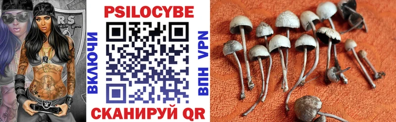 Галлюциногенные грибы Psilocybe Борисоглебск