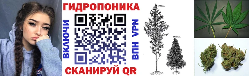 сколько стоит  Борисоглебск  Конопля планчик 
